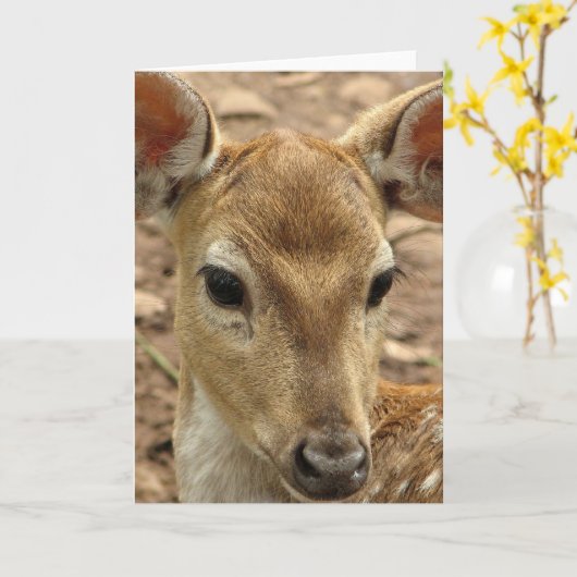 Bambi Rotwild-Gruß-Karte Karte (Gelbe Blume)