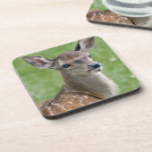 Bambi-Set von 6 Untersetzer (Linke Seite)