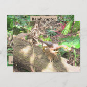 Bambiraptor - Dinosaur - Lernkarte Postkarte (Vorne/Hinten)