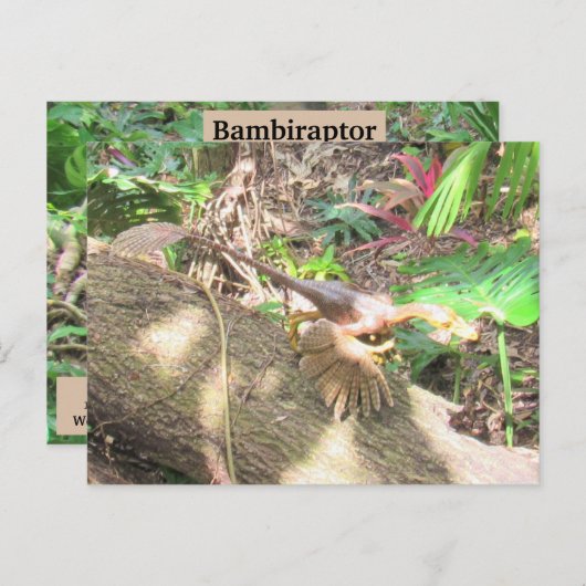 Bambiraptor - Dinosaur - Lernkarte Postkarte (Vorne/Hinten)