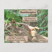 Bambiraptor - Dinosaur - Lernkarte Postkarte (Rückseite)