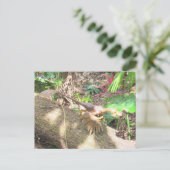 Bambiraptor - Dinosaur - Lernkarte Postkarte (Stehend Vorderseite)