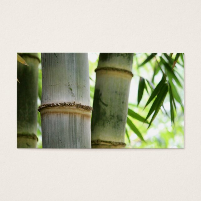 Bamboo (Vorderseite)