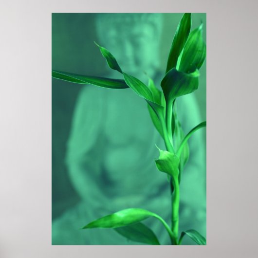 Bamboo Buddha Poster (Vorne)