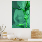 Bamboo Buddha Poster (Küche)