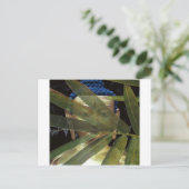 Bamboo Buddha Postkarte (Stehend Vorderseite)