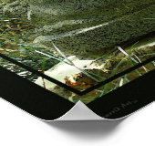 Bamboo Buddha Print -24x20 -andere Größen verfügba Poster (Ecke)