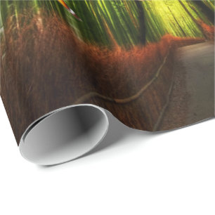 Bamboo & Butterfly Art 2 Packpapier