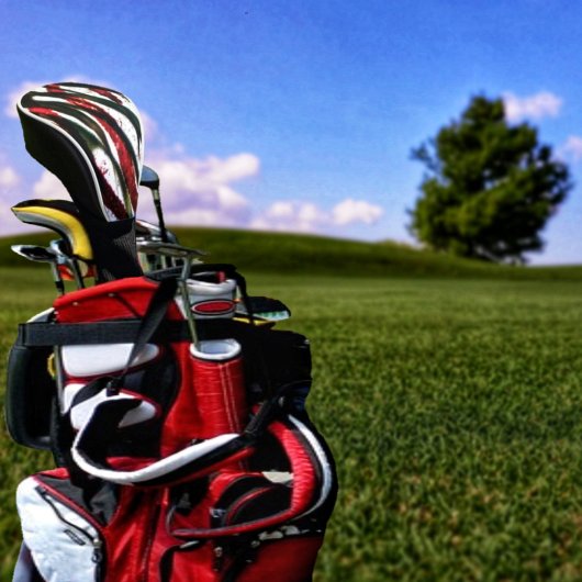 Bamboo Crossing Golf Headcover