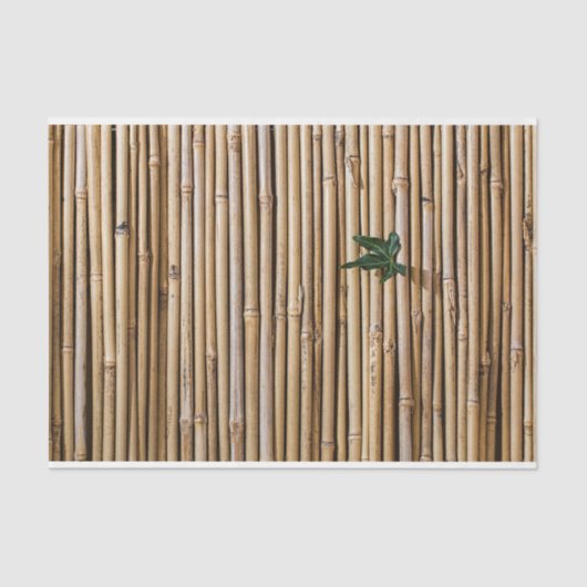 Bamboo Decoupage 19 Hintergrund Tissue Paper Seidenpapier (Vorderseite)