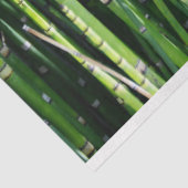 Bamboo Decoupage 24 Background Tissue Paper Seidenpapier (Ausschnitt)