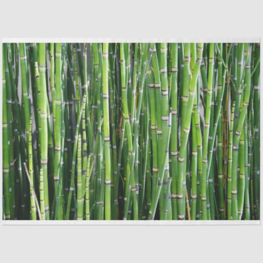 Bamboo Decoupage 24 Background Tissue Paper Seidenpapier (Vorderseite)