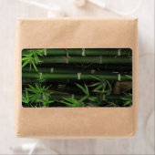 Bamboo ... Fao Rai, Nong Khai, Isaan, Thailand (Insitu)