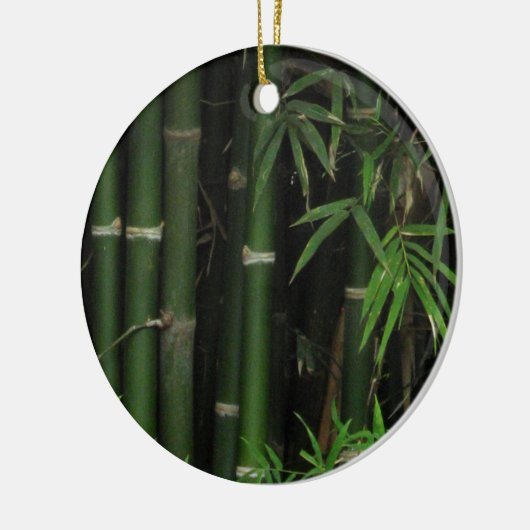 Bamboo ... Fao Rai, Nong Khai, Isaan, Thailand Keramikornament (Links)