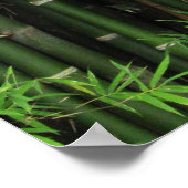 Bamboo ... Fao Rai, Nong Khai, Isaan, Thailand Poster (Ecke)
