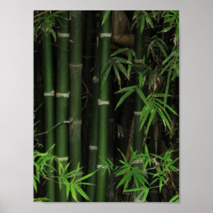 Bamboo ... Fao Rai, Nong Khai, Isaan, Thailand Poster