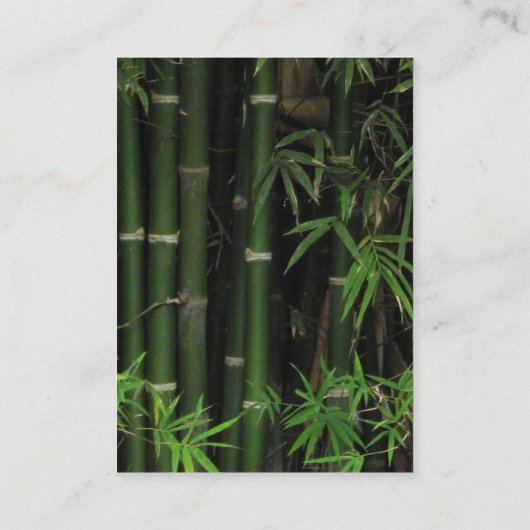 Bamboo ... Fao Rai, Nong Khai, Isaan, Thailand Visitenkarte (Rückseite)