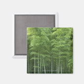 Bamboo Forest Magnet (Vorderseite/Rückseite)