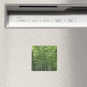 Bamboo Forest Magnet (In Situ (Geschirrspüler))