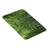 Bamboo Forest Magnet (Rechte Seite)