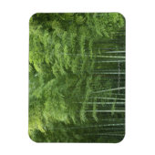 Bamboo Forest Magnet (Vertikal)
