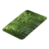 Bamboo Forest Magnet (Linke Seite)