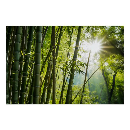 Bamboo Forest Poster (Vorderseite)