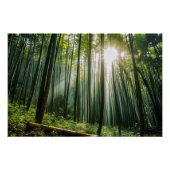 Bamboo Forest Poster (Vorderseite)