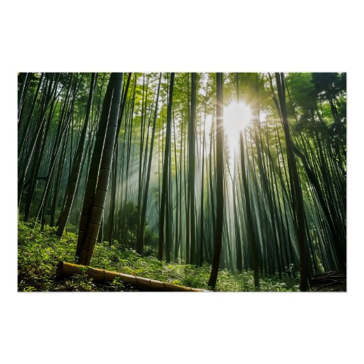 Bamboo Forest Poster (Vorderseite)