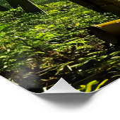 Bamboo Forest Poster (Ecke)