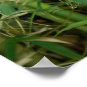 Bamboo Forest Poster (Ecke)