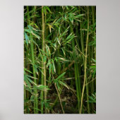 Bamboo Forest Poster (Vorne)