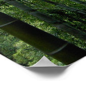 Bamboo Forest Poster (Ecke)