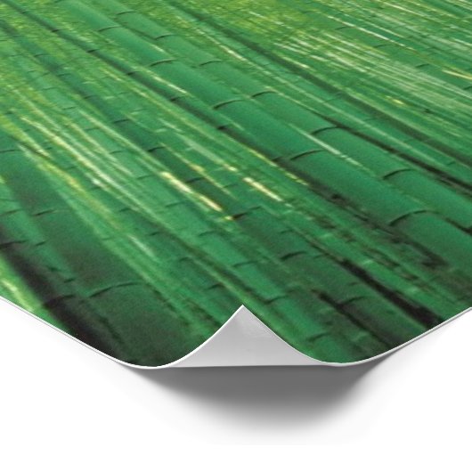 Bamboo Forest Poster (Ecke)