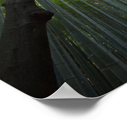 Bamboo Forest Poster (Ecke)