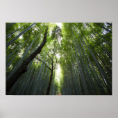Bamboo Forest Poster (Vorne)