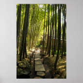 Bamboo Forest Poster (Vorne)