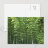 Bamboo Forest Postkarte (Vorne/Hinten)