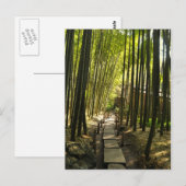 Bamboo Forest Postkarte (Vorne/Hinten)