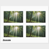 Bamboo Forest Rechteckiger Aufkleber (Blatt)