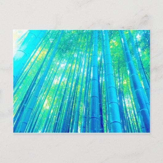 Bamboo Forest Series Postkarte (Vorderseite)