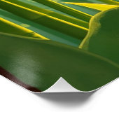 bamboo forest with red callas poster (Ecke)