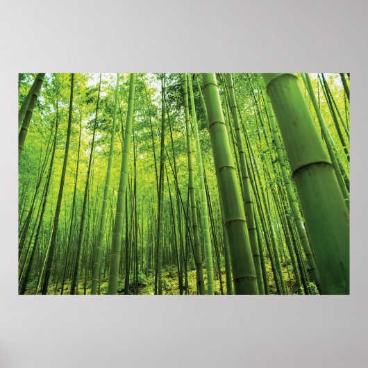 Bamboo Forest Zen Art Poster (Vorne)