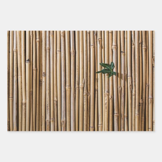 Bamboo Gift Wrap - 3 Blätter - HAMbyWG (Vorderseite 3)