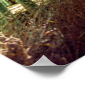 Bamboo Grove | Arashiyama, Kyoto, Japan Poster (Ecke)