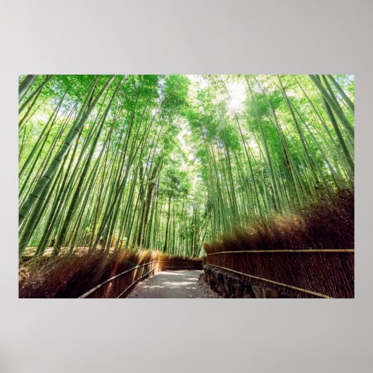 Bamboo Grove | Arashiyama, Kyoto, Japan Poster (Vorne)