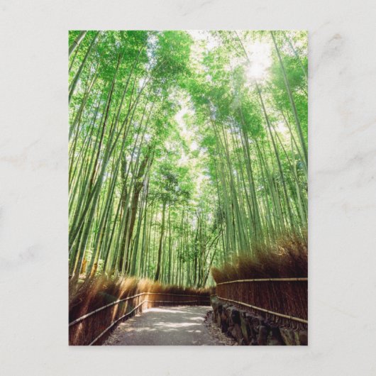 Bamboo Grove | Arashiyama, Kyoto, Japan Postkarte (Vorderseite)