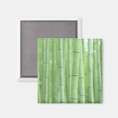 Bamboo Grove Magnet (Vorderseite/Rückseite)