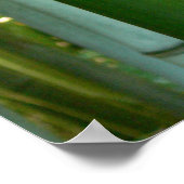 Bamboo Grove Poster (Ecke)