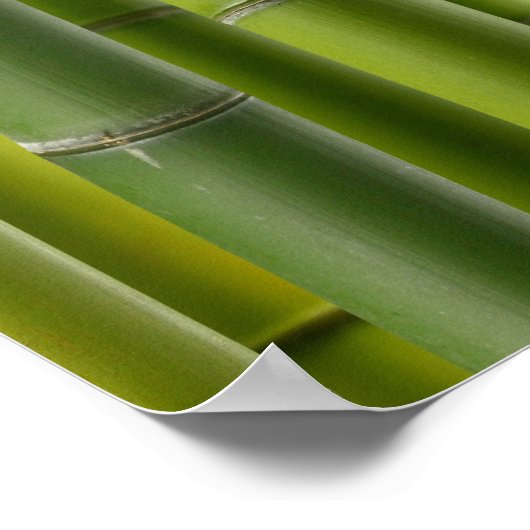 Bamboo Grove Poster (Ecke)